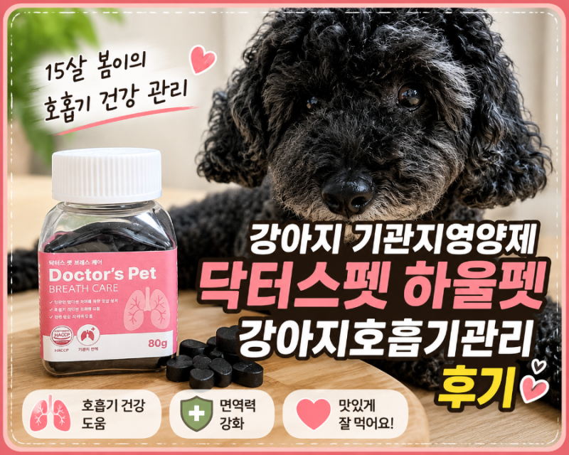 강아지기관지영양제 닥터스펫 하울펫 강아지호흡기관리 시작한 후기