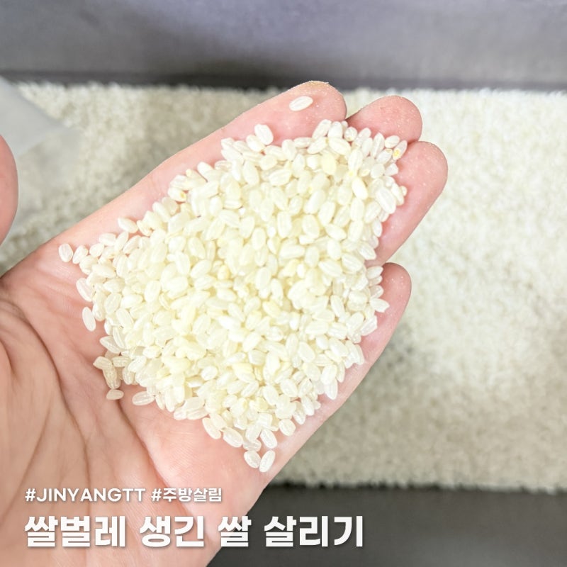 쌀벌레 생긴 쌀, 버리지 않고 살려도 진짜 먹을만할까요?