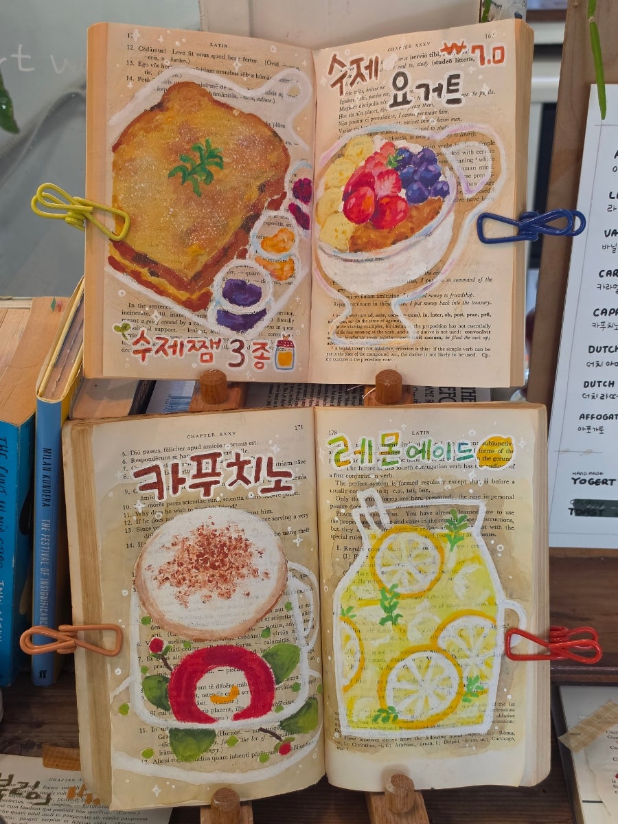 목향 사진 5
