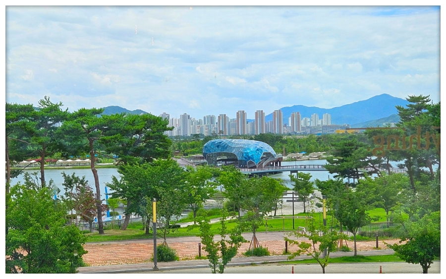 아이갓에브리씽 세종이도마루점 사진 3