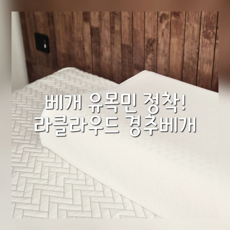 경추베개 추천 라클라우드 높이조절 천연라텍스베개 솔직 사용 후기