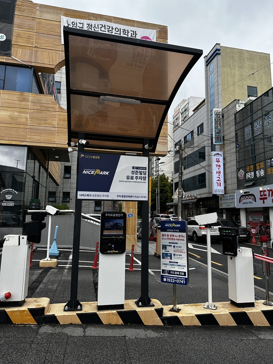 콩밭 사진 1