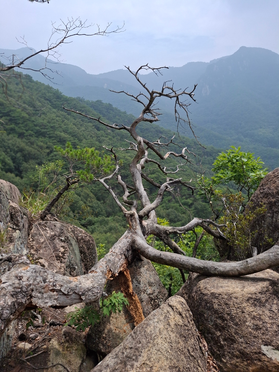 금수산 사진 4