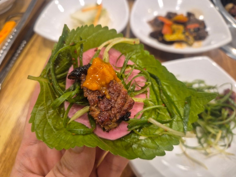 익산모현동 솔가숯불갈비 돼지갈비맛집!