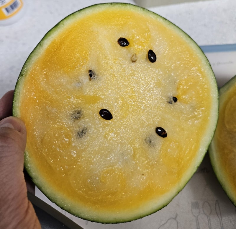 속이 노란 수박 블랙망고수박 맛본 후기
