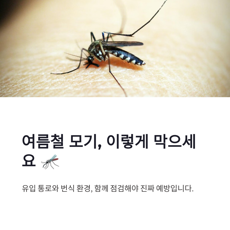 여름철 모기 예방법 집안 벌레 유입부터 고인 물까지 점검하기