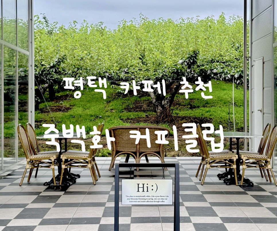 죽백화커피클럽 사진 1