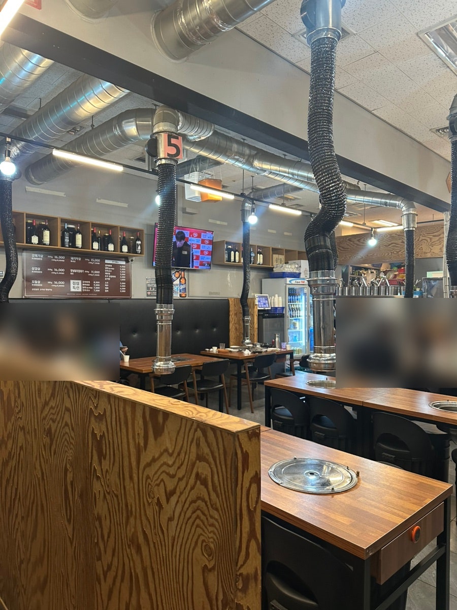 동탄갈매기 사진 4