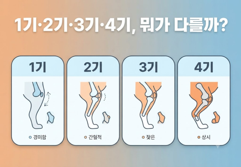 강아지 슬개골 탈구 1기·2기·3기·4기 차이! 단계별 증상과 관리 방법 총정리 (2026)