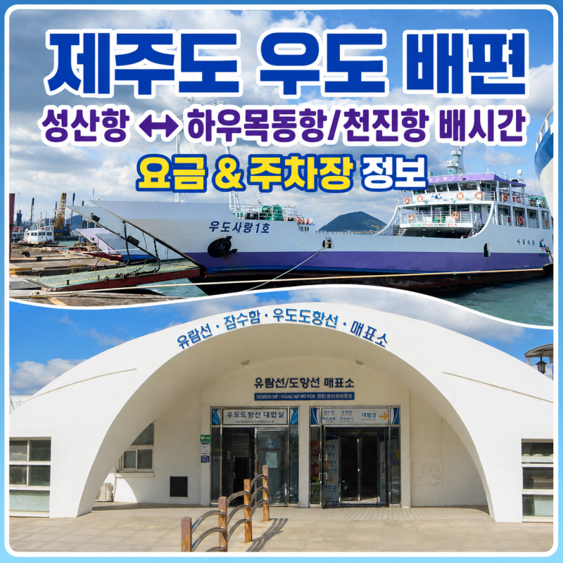 성산항 제주도 우도 배편 및 우도 배시간 요금 하우목동항 천진항 기준 총정리