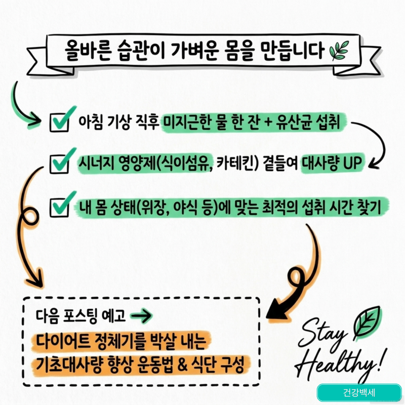 [다이어트 유산균] 효과를 극대화하는 비에날씬 복용 시간과 시너지 영양제 궁합 총정리