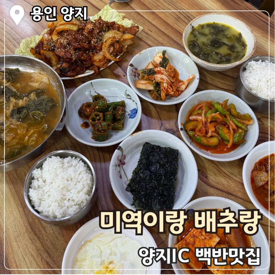 양지맛집 미역이랑배추랑 사진 1