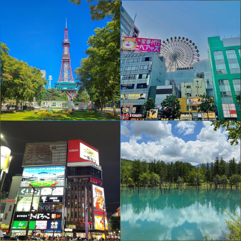 삿포로 렌트카 추천 카모아 렌터카 비용 업체 삿포로 여행 코스