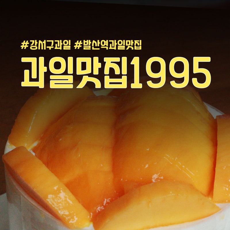 강서구 망고케이크 맛집 발산역 과일맛집1995