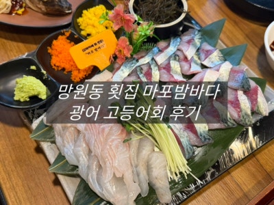 망원동 횟집 스끼다시 잘나오는 마포밤바다 고등어회 후기 망원동점심 맛집