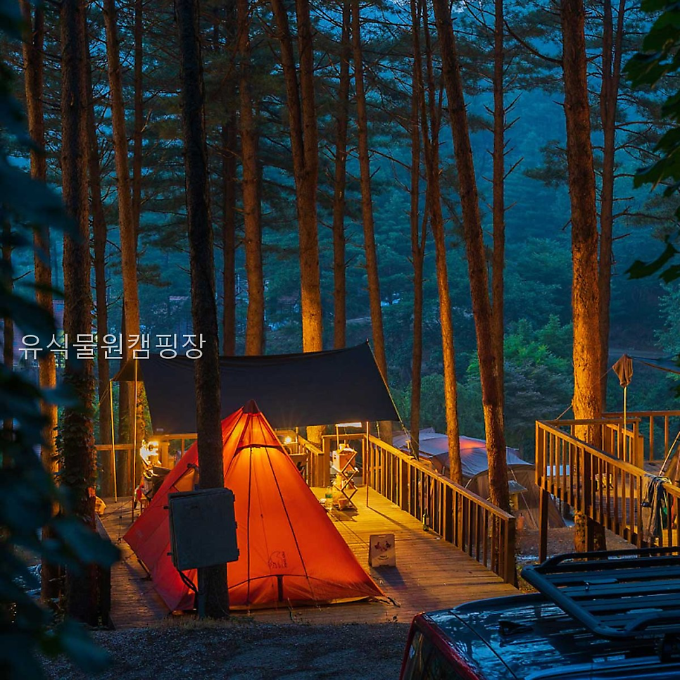 유식물원캠핑장 사진 2