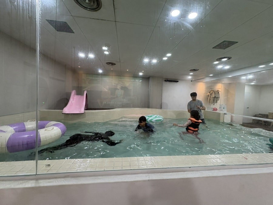오리둥둥 사진 1