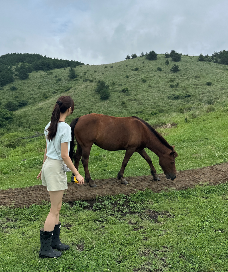 Jeju Yongnuni Oreum | Easy-level East Jeju Oreum with many horses / Time required, parking, Gujwa