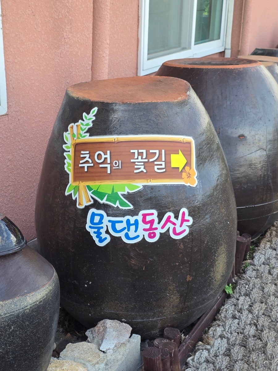 오리궁뎅이 사진 4