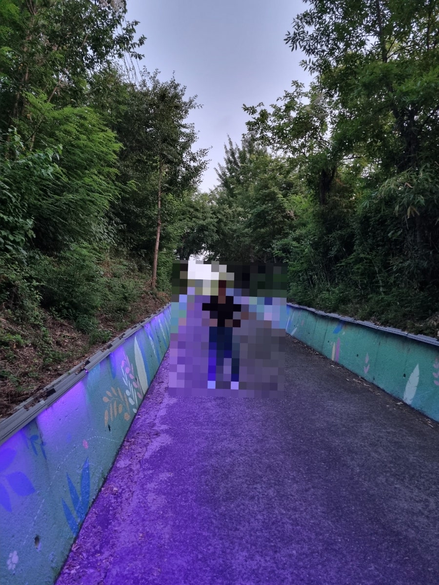 고성산둘레길전망대 사진 2