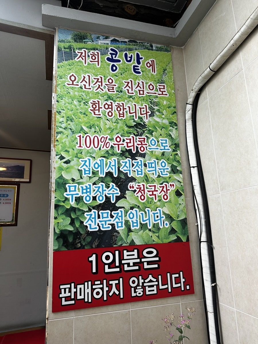 콩밭 사진 4