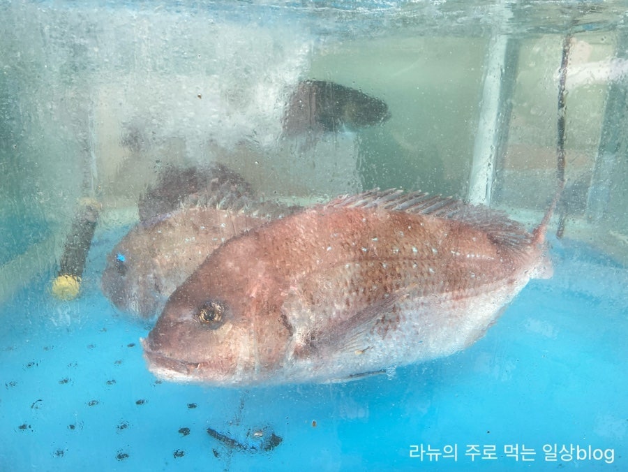 대야수산 사진 3