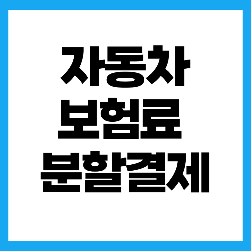 자동차보험료 분할결제방법, 목돈 부담 줄이는 카드 할부 vs 분납 특약 총정리