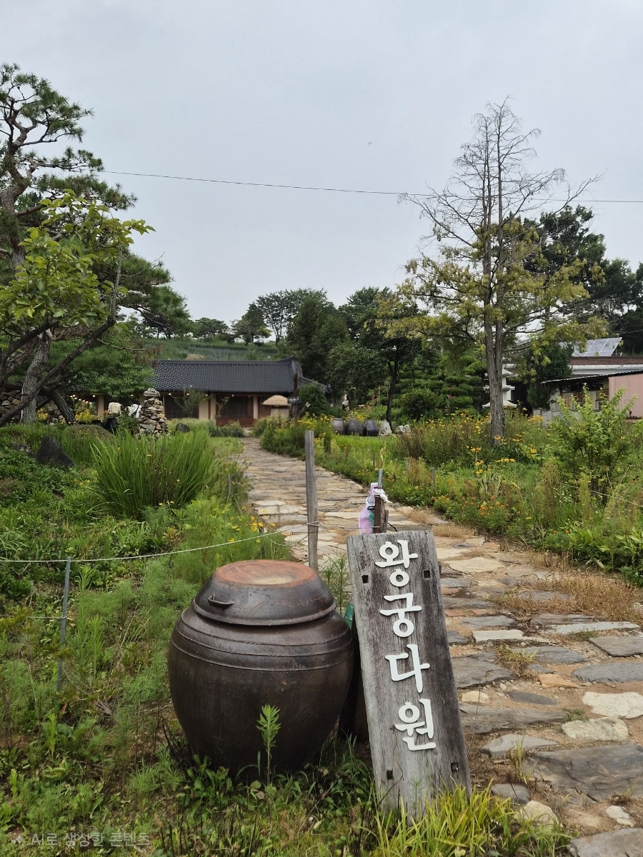 왕궁다원 사진 1