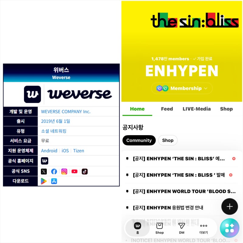 ENHYPEN: Weverse - The Communication Platform for ENGENE