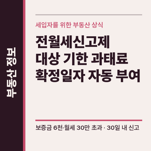 전월세신고제 방법 신고기간 대상 기한 과태료 계도종료 및 전입신고