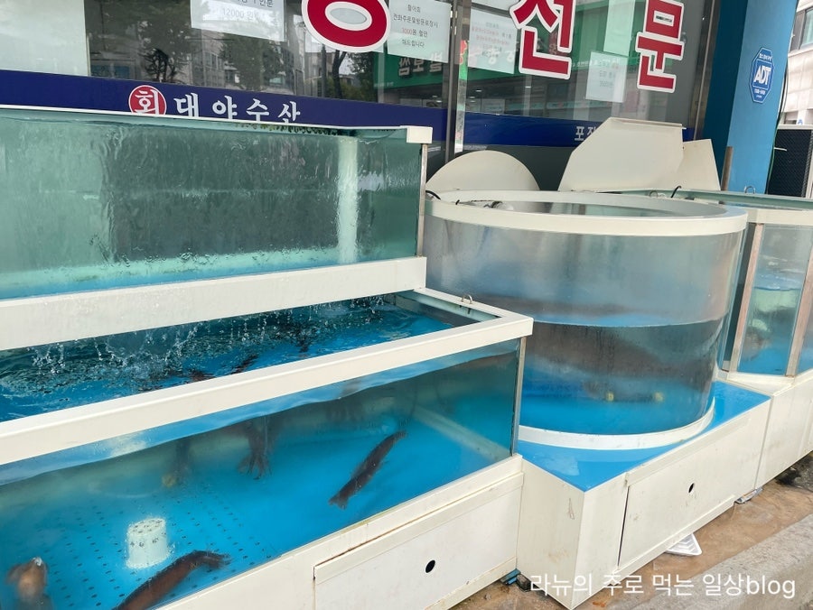 대야수산 사진 2