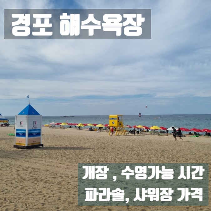 경포해수욕장 개장시간 수영가능시간 파라솔 샤워장까지(2026)