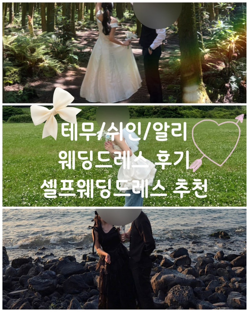 셀프웨딩촬영 드레스 추천,테무, 쉬인 웨딩드레스 직접 구매한 3벌 후기