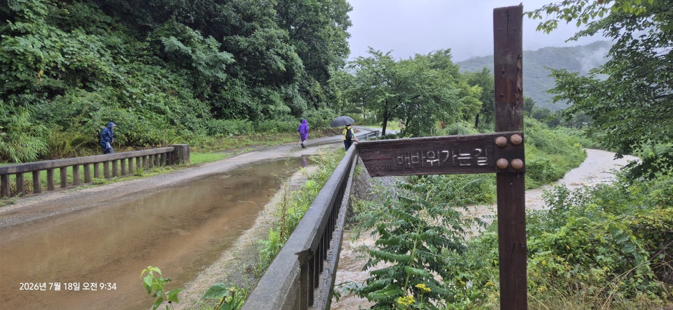 노고산 사진 5