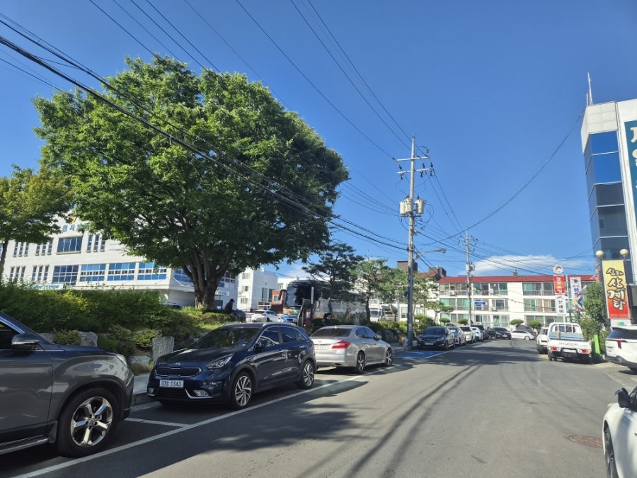 별빛산골능이버섯 사진 3