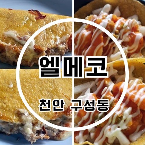 엘메코 사진 1