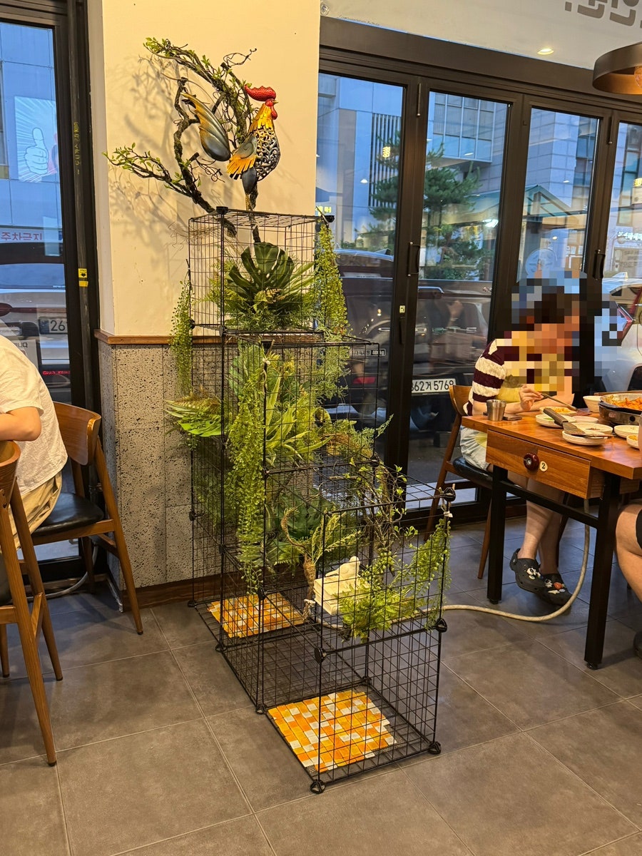 닭갈비두목 사진 3
