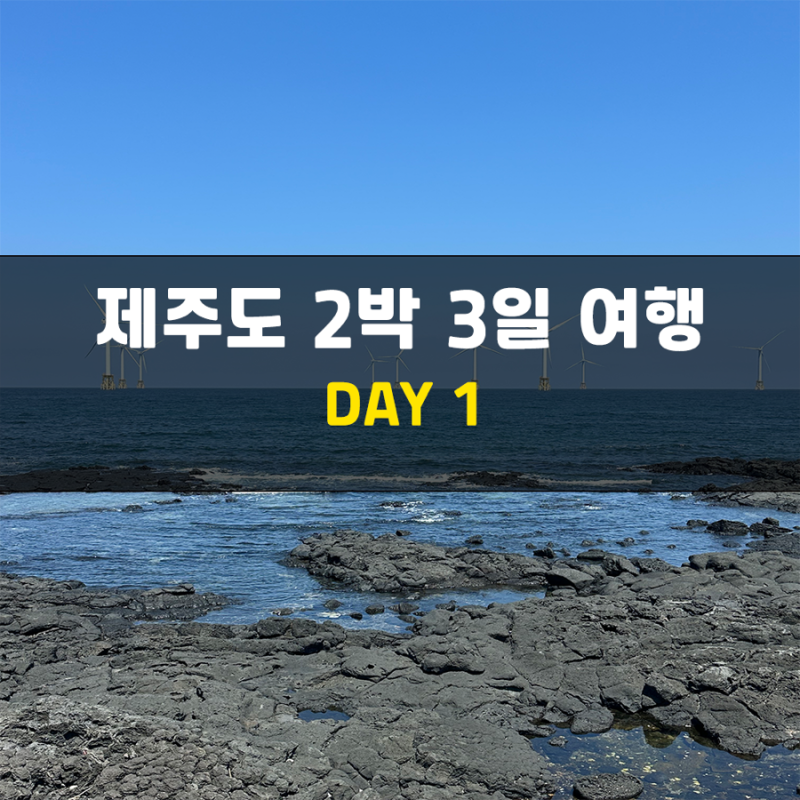 5월 제주도 여행 1일차 | 도두몰 소품샵, 동문시장 야시장, 김만복 김밥
