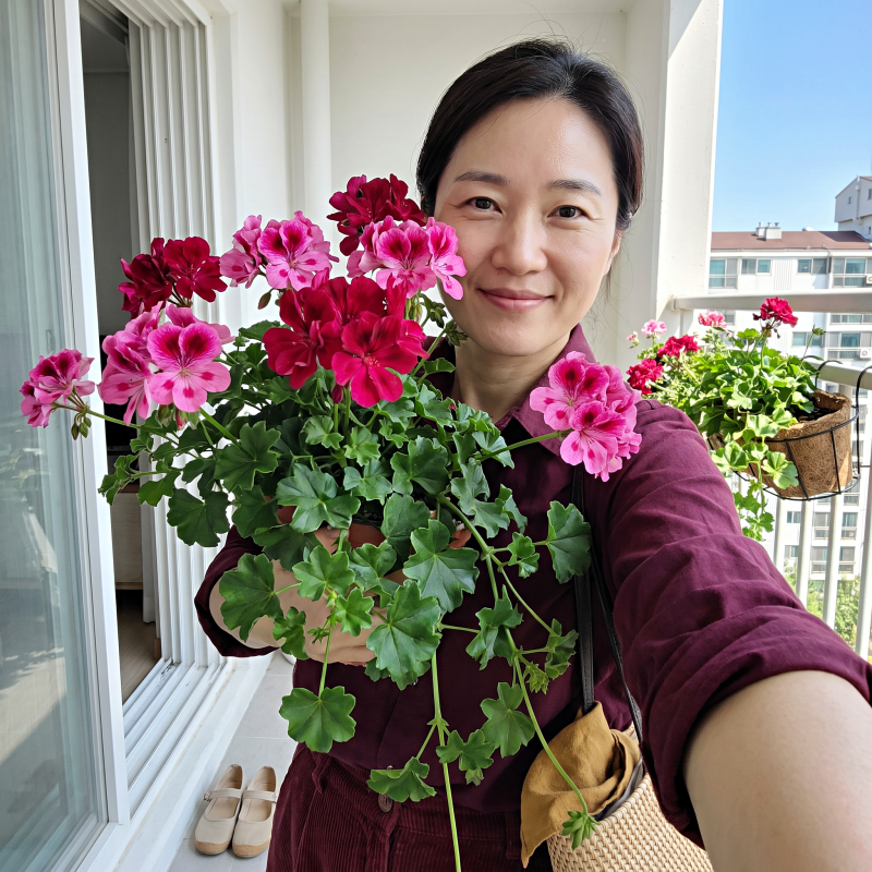 "물만 줬을 뿐인데 일주일 만에 뿌리가 통째로.." 아이비제라늄 과습의 함정