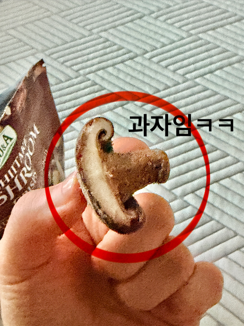 전지현&김숙 연옌 극찬 표고버섯과자칩 나도먹어본다!