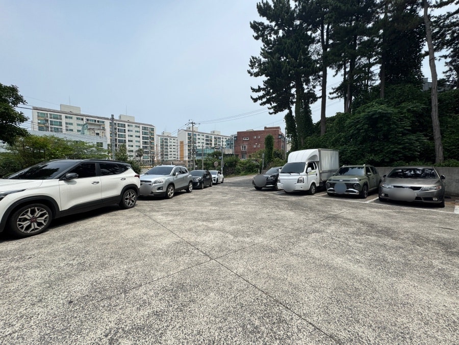 평창메밀막국수 사진 3
