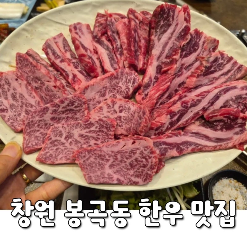 창원 봉곡동 고기집 천일식육식당 | 한우 뭉티기와 갈비살 모듬이 맛있었던 봉곡동 맛집