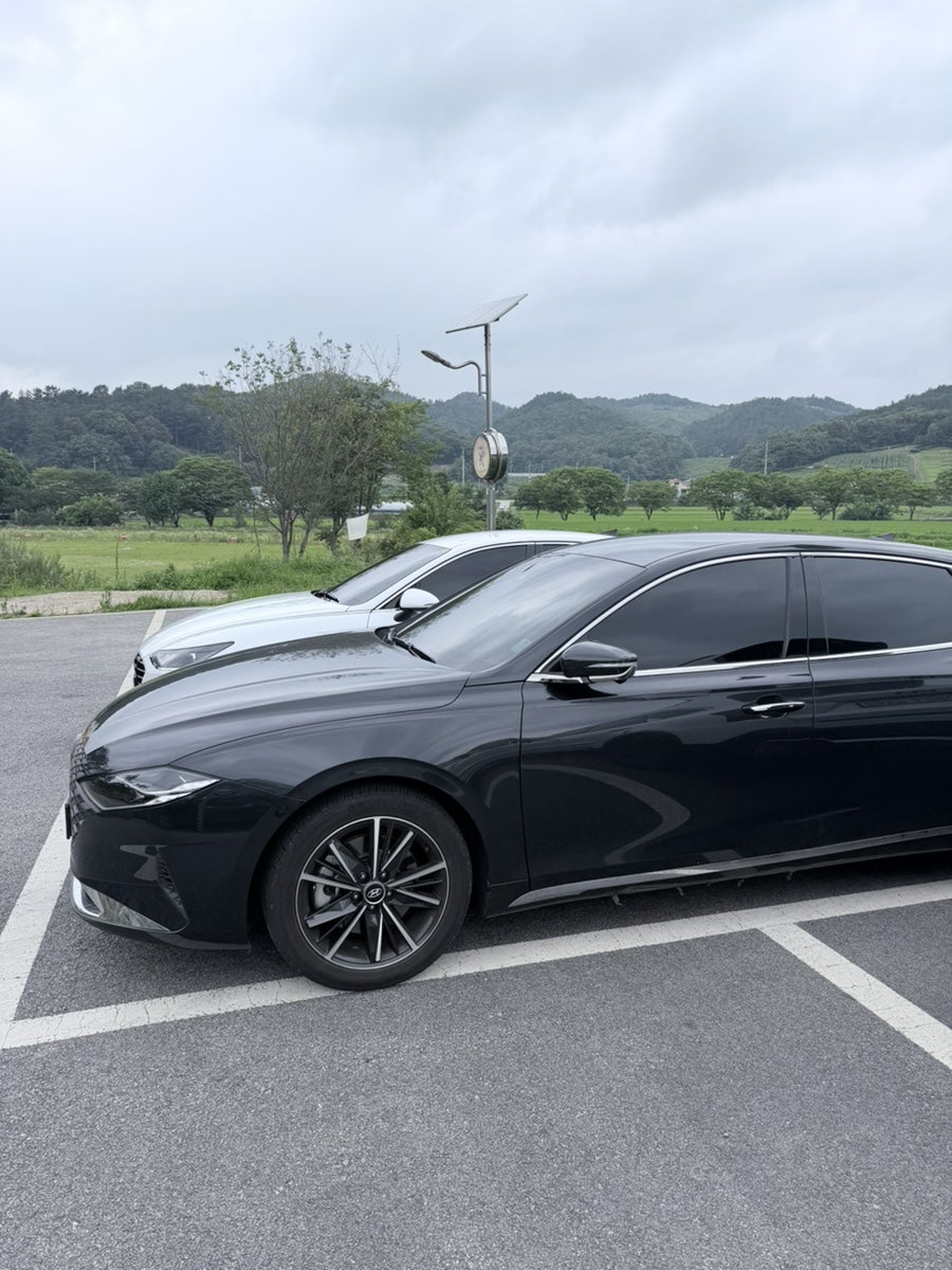 치즈온 사진 6