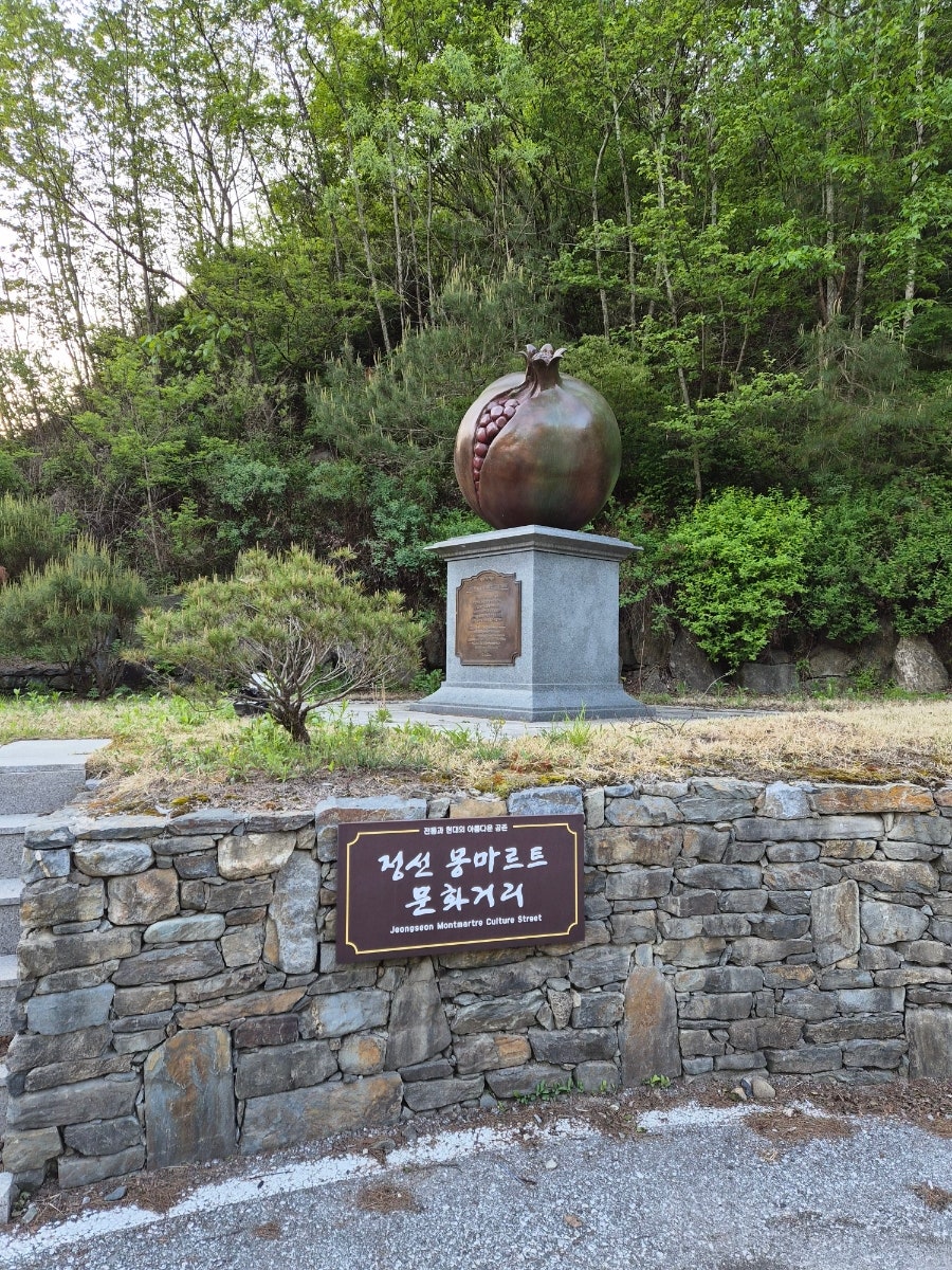 정선 도원펜션 캠핑장 사진 4