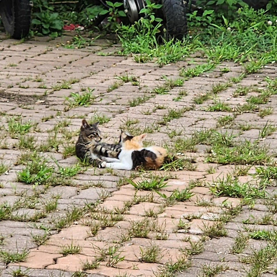 예아리박물관 사진 3