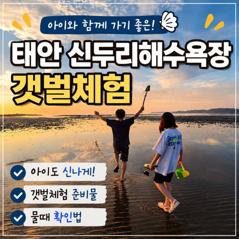 태안 신두리해수욕장 갯벌체험｜아이와 조개잡기 물때·준비물