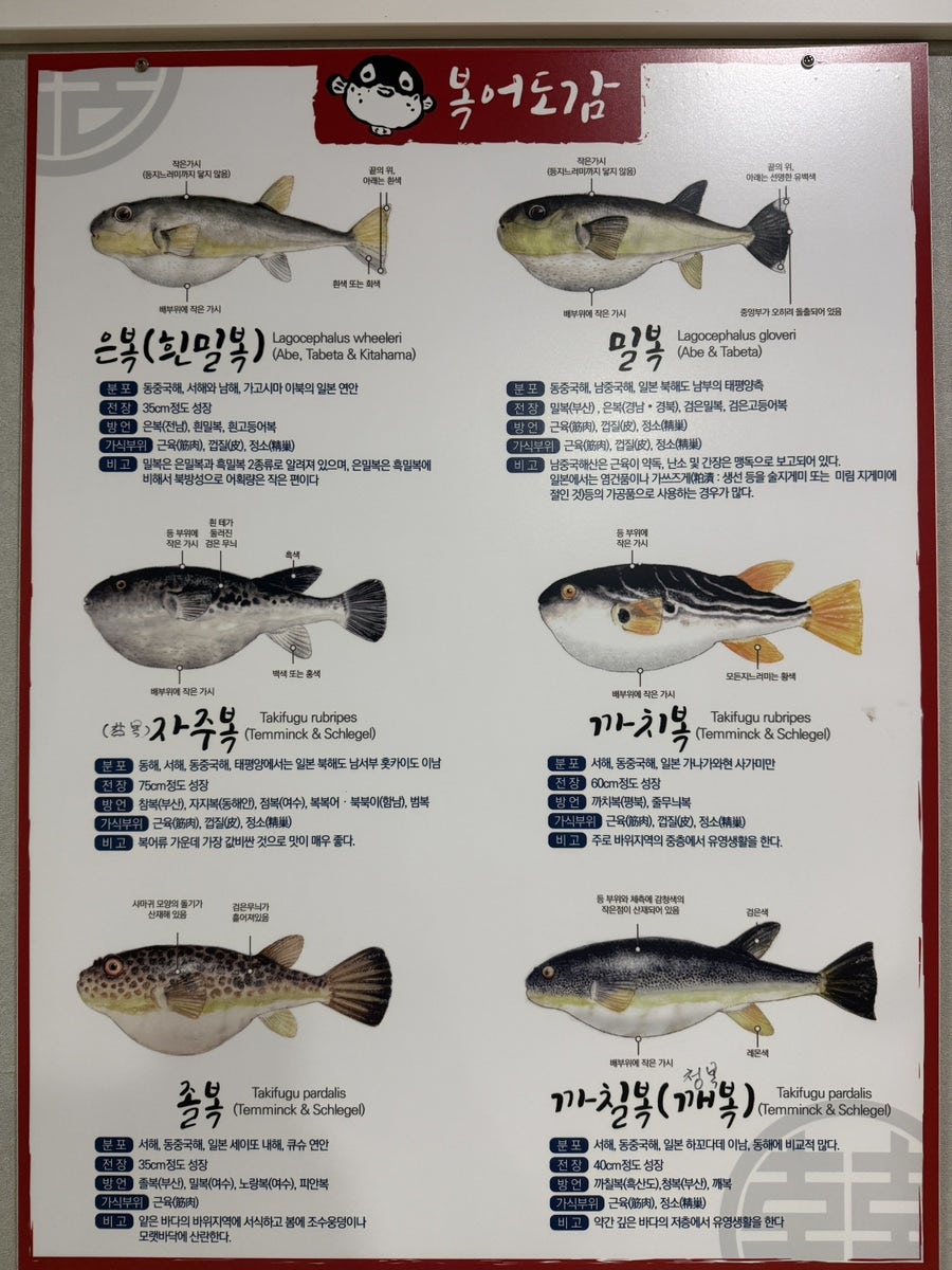 본가벌나무복집 사진 6