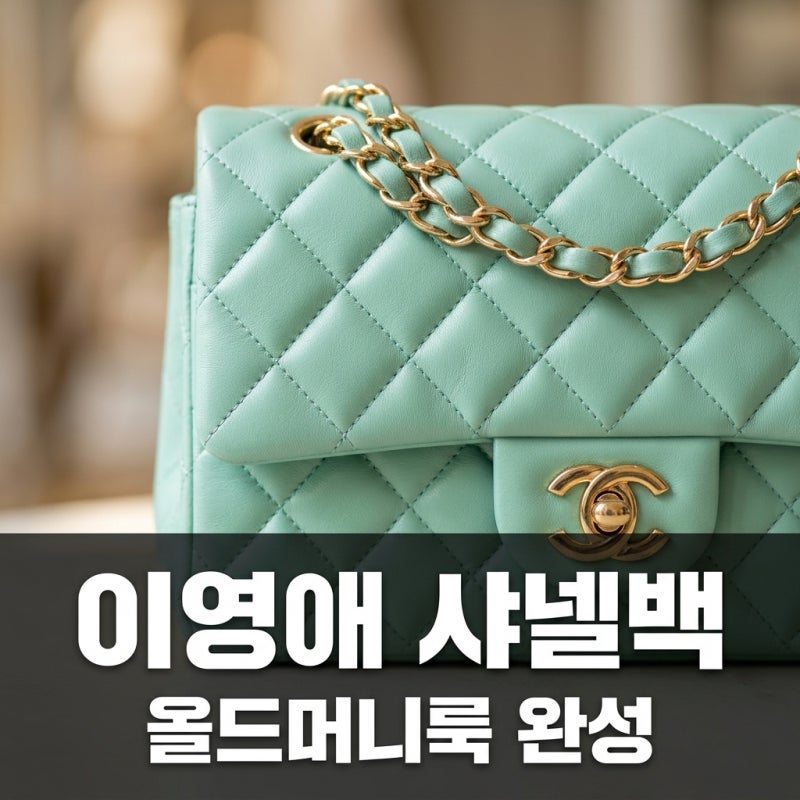 이영애 근황 속 샤넬백, 55세 동안 미모 완성한 민트 컬러 올드머니룩 비결