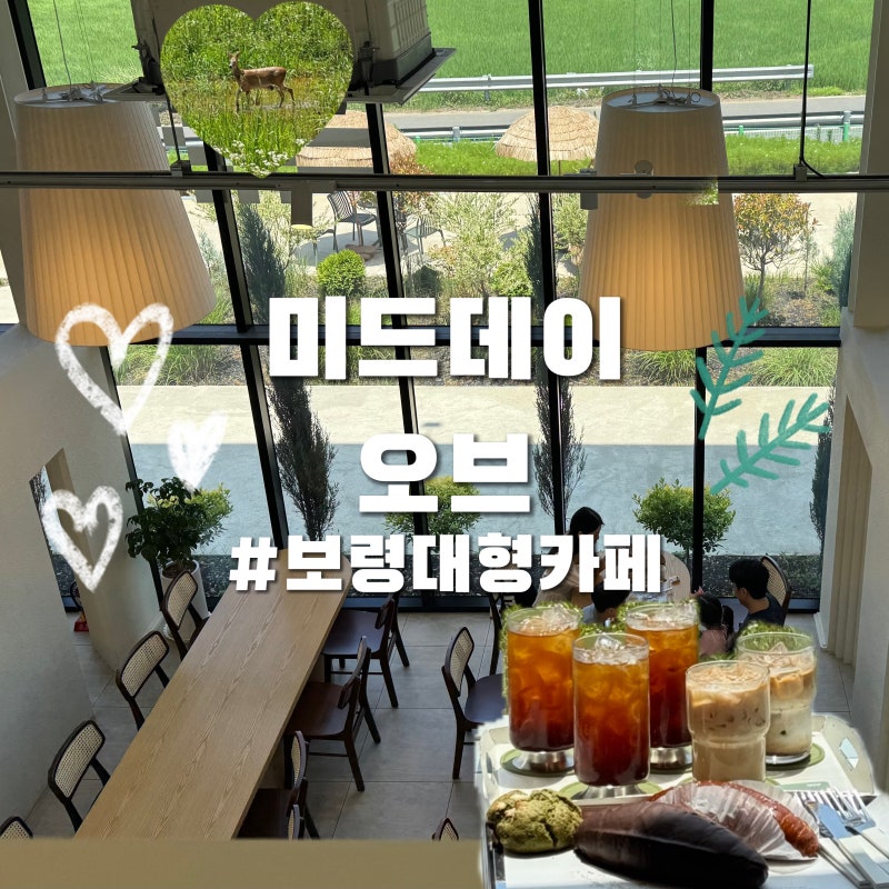 보령대형카페 미드데이 오브 후기