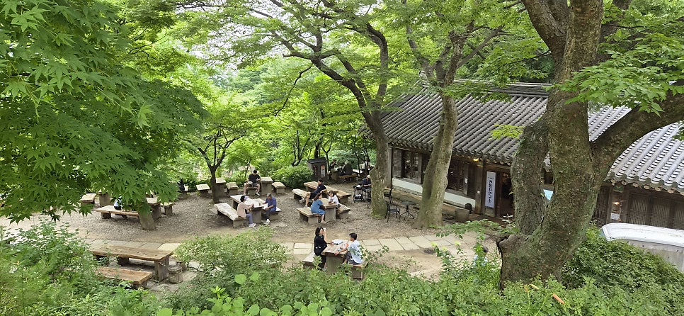 죽림다원 사진 1